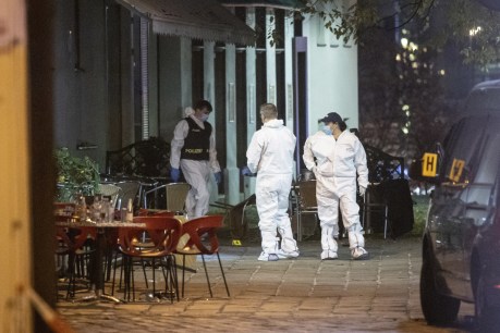  ‘Islamist terrorist’ behind Vienna attack