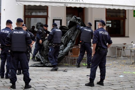 Police arrest 14 people linked to Vienna terror