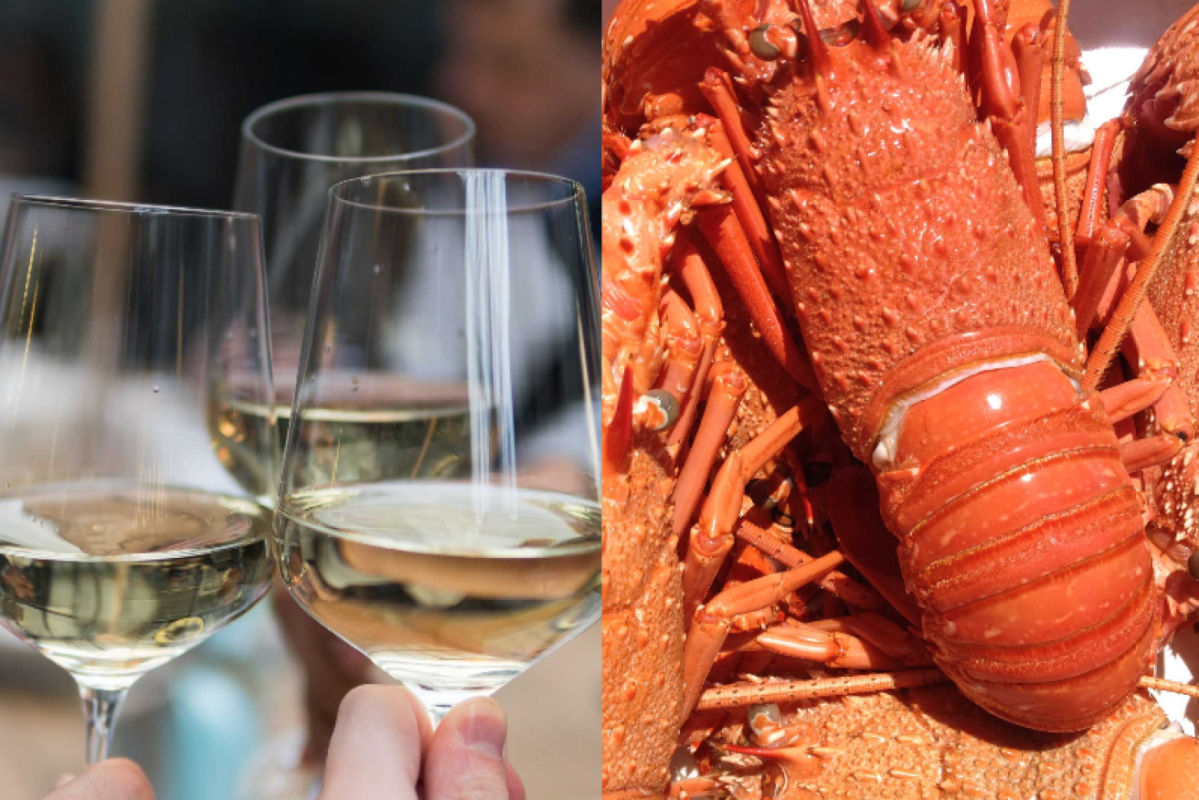 Australia's wine and lobsters were just two exports China restricted when relations soured with the Morrison government. <i>Photo: Unsplash</i>