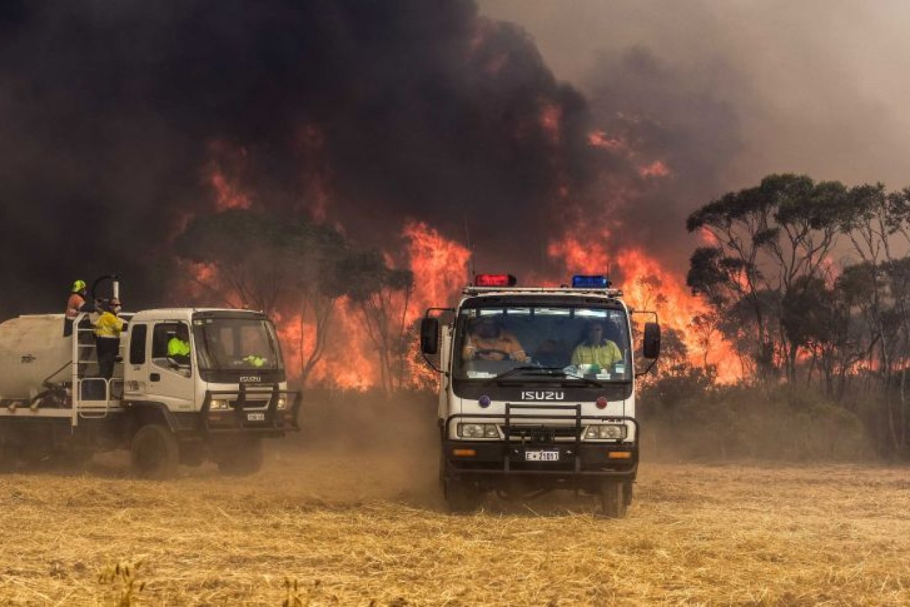 The NSW Rural Fire Service has warned recent rain has increased the threat of grass fires.