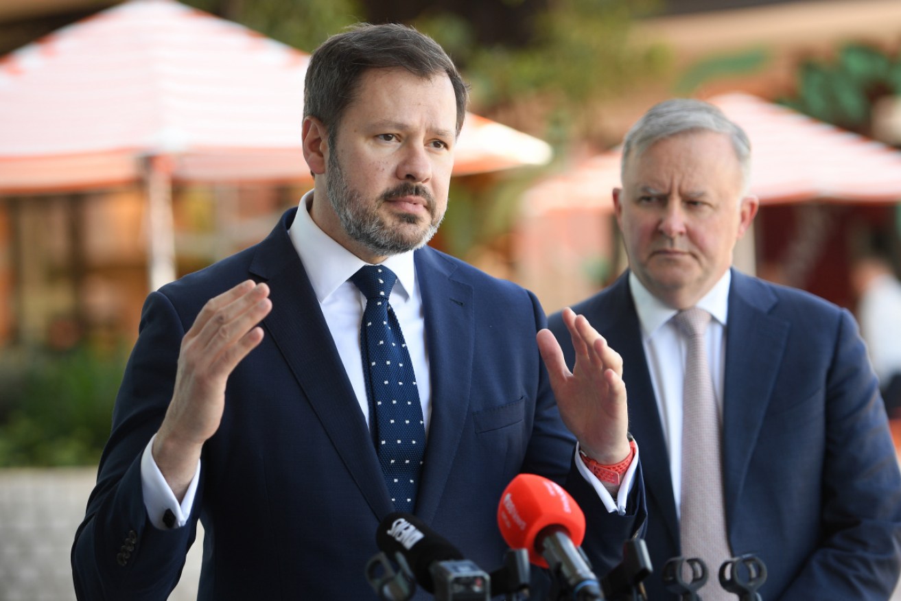 New ALP frontbencher Ed Husic (left) with Opposition Leader Anthony Albanese in 2019.