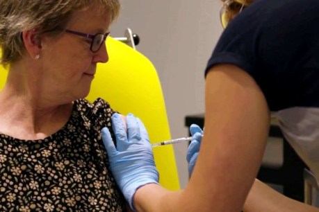 ASX rallies and Wall Street reaches new record highs on hopes of coronavirus vaccine