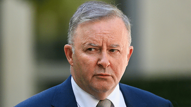 Anthony Albanese sees a post-JobKeeper catastrophe.