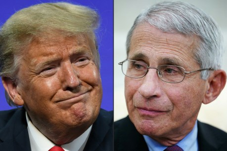Trump last attended virus briefing &#8216;months ago&#8217; says Fauci, as US passes 11 million cases