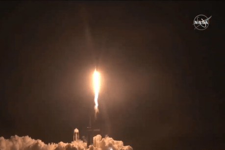SpaceX, NASA's Resilience blasts off on first mission