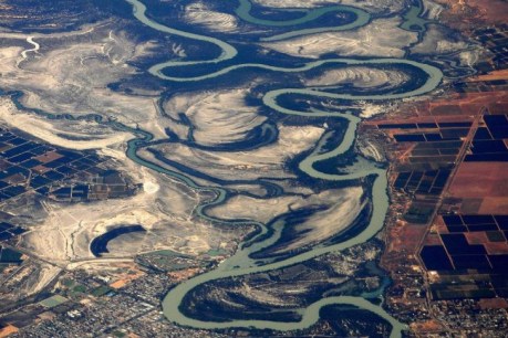 Australian-first report finds Murray-Darling Basin not delivering water to intended wetlands