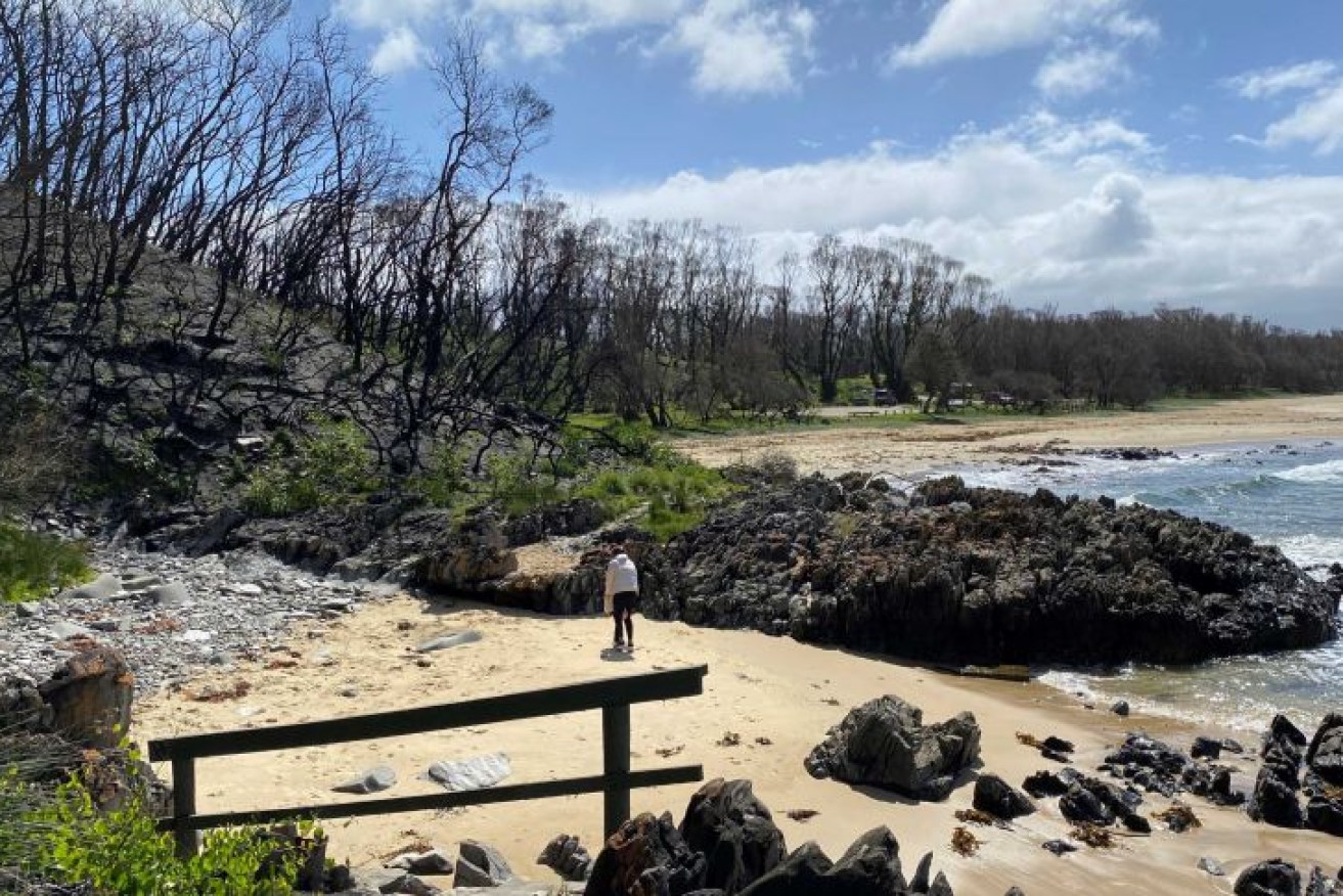 The Victorian Government will spend $3.5 million at the Cape Conran Coastal Park in East Gippsland to build 10 eco-pods.