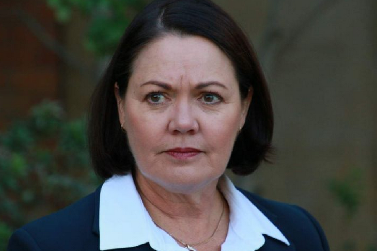 Liza Harvey admits she couldn't get her message across to voters.