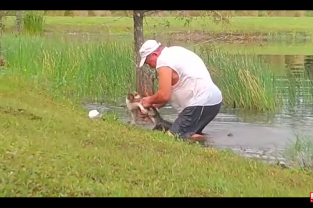 Richard Wilbanks wrestled his puppy out of the jaws of an alligator, saving its life.