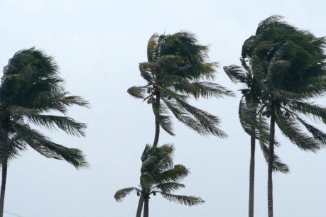 BOM forecast predicts more cyclones than usual this year due to La Niña warming Coral Sea