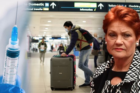 Pauline Hanson slams ‘unacceptable’ Qantas vaccine rules, as other airlines follow suit