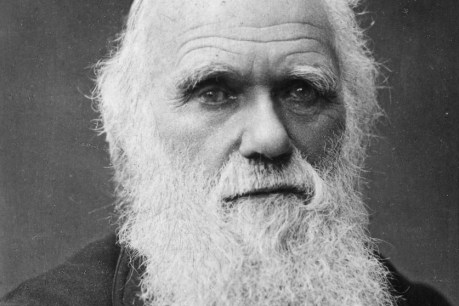 Darwin’s notebooks returned after 22 years