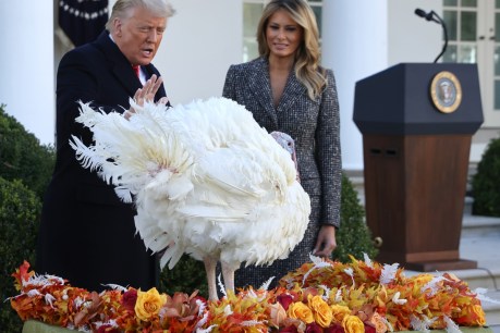 Twitter users are deserting Donald Trump