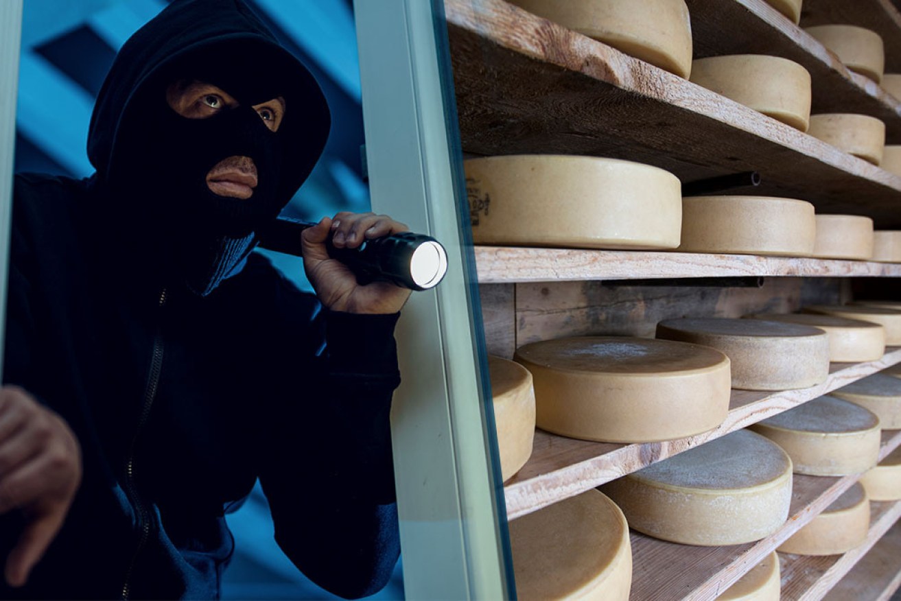 Thieves have stolen 300 wheels of very expensive cheese from a Dutch farm.