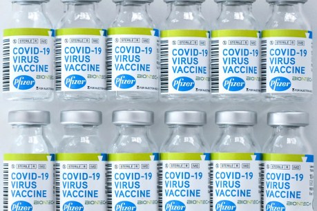 Pfizer coronavirus vaccine doses arrive in Australia ahead of rollout