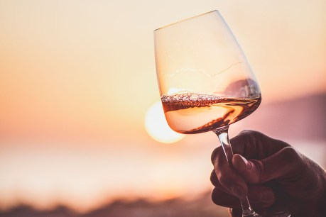 Everything you need to know about Rosé!