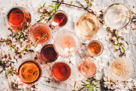 Five dry styles of Rosé you must try!