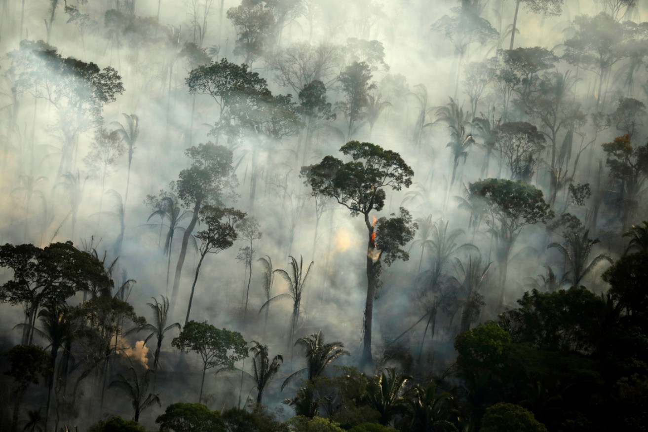 Destruction of the Amazon rainforest has skyrocketed since Brazil's far-right President Jair Bolsonaro took office. <i>Photo: AAP</i>