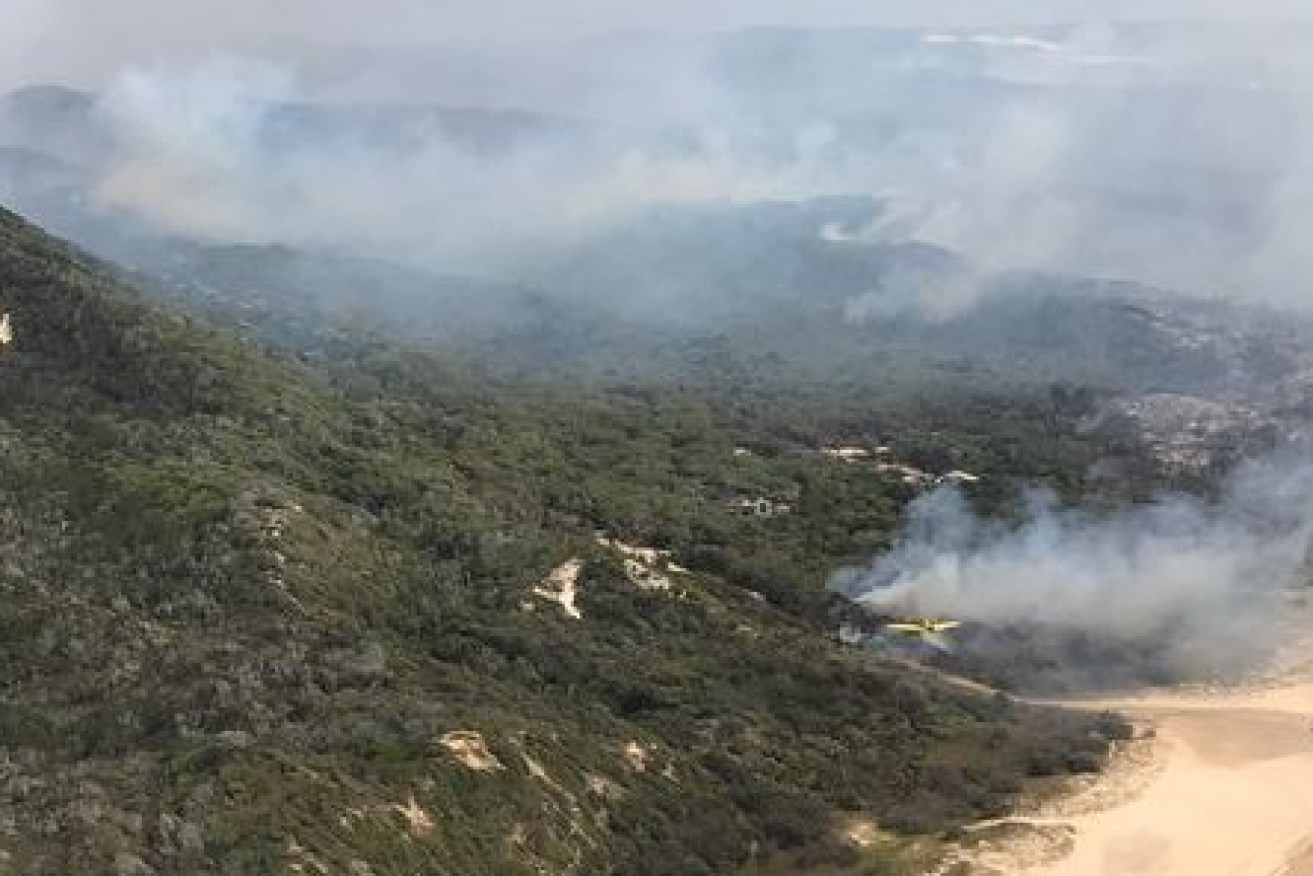 The fire has been burning for weeks, destroying tens of thousands of hectares of bushland.