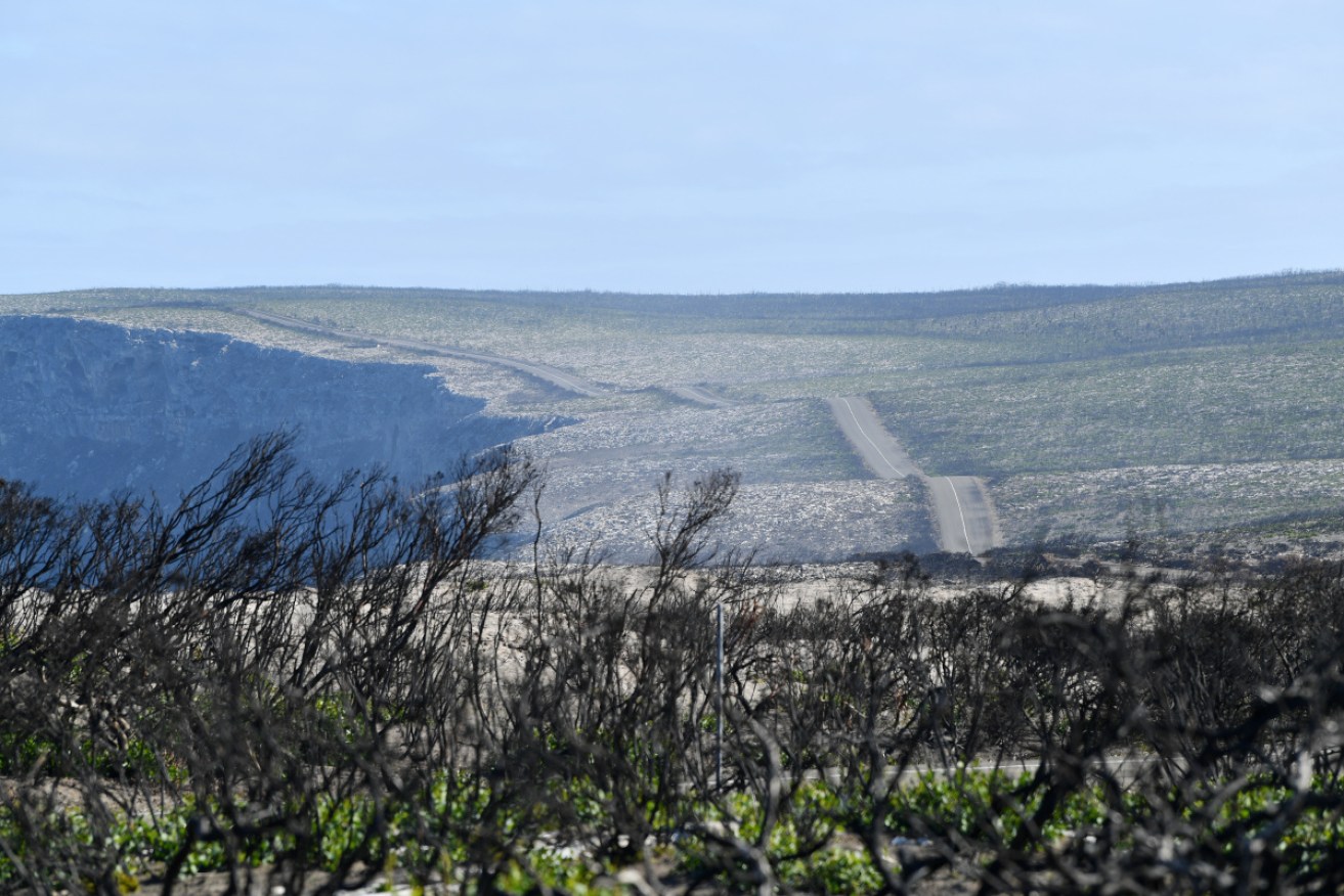 Police have begun a search of waters near Kangaroo Island for two missing men.