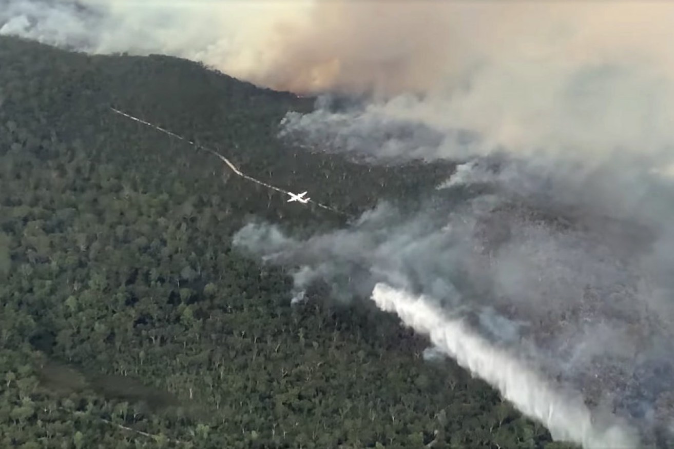 An aerial screen grab image of the K'gari (Fraser Island) fire on Thursday.
