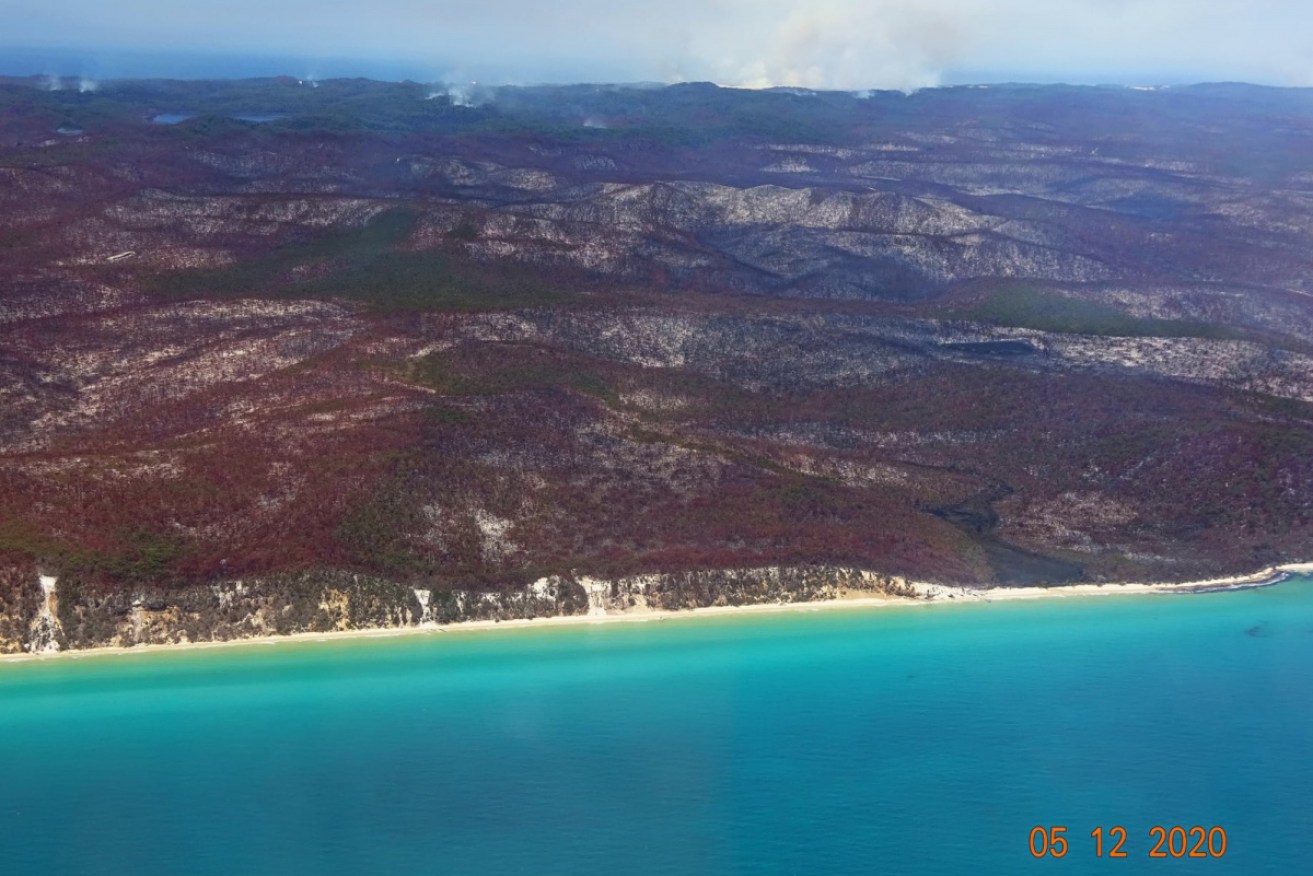 Almost half of Fraser Island has been decimated by bushfires since October.