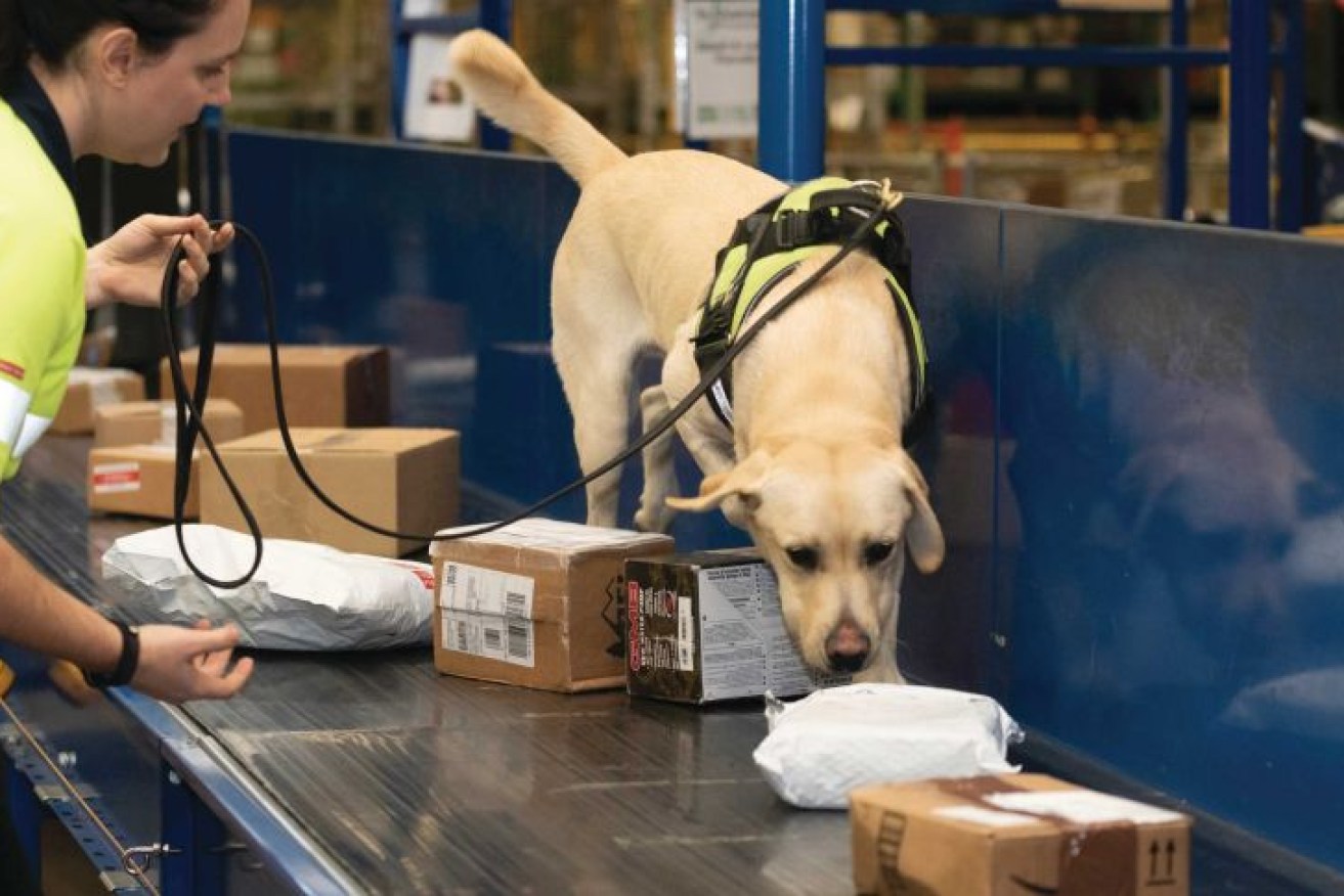 Australian authorities say they've intercepted 45,000 "risky seed parcels" at international mail centres in 2020. 