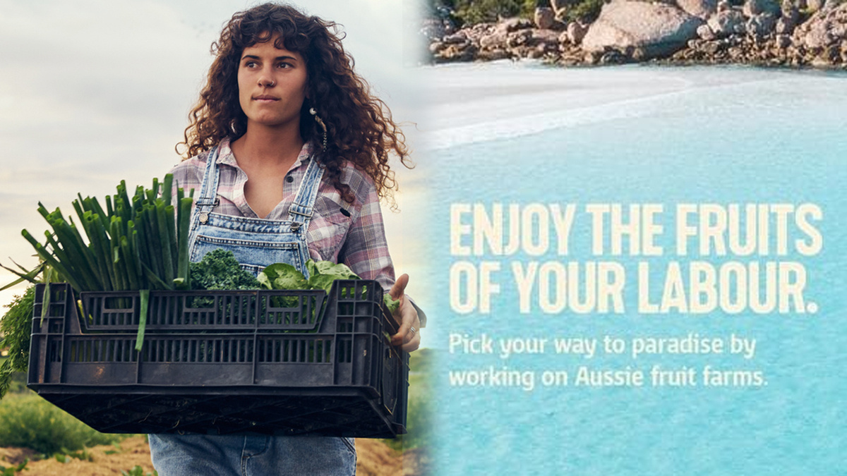 farm work new zealand backpackers