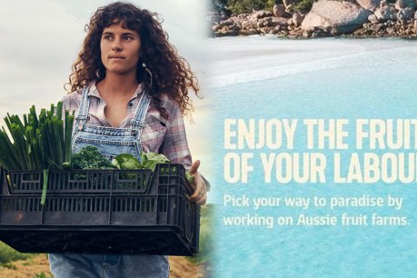 Government woos Kiwis for Aussie farm jobs