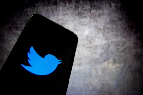 Twitter boss’ first tweet sells for millions