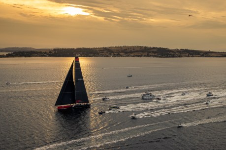 Sydney to Hobart yacht race cancelled for the first time in its history