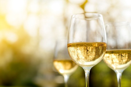Everything you need to know about Chardonnay!