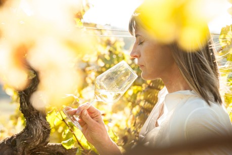 Five reasons we love Chardonnay