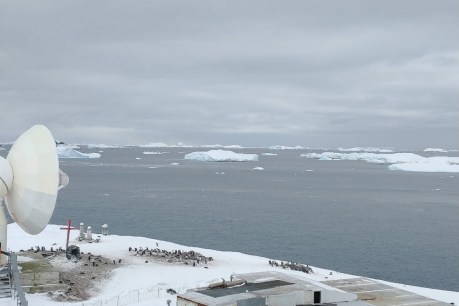 More coronavirus cases in Antarctica, with 58 infections now confirmed