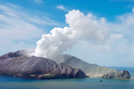 Royal Caribbean launches legal action against families of White Island volcano tragedy