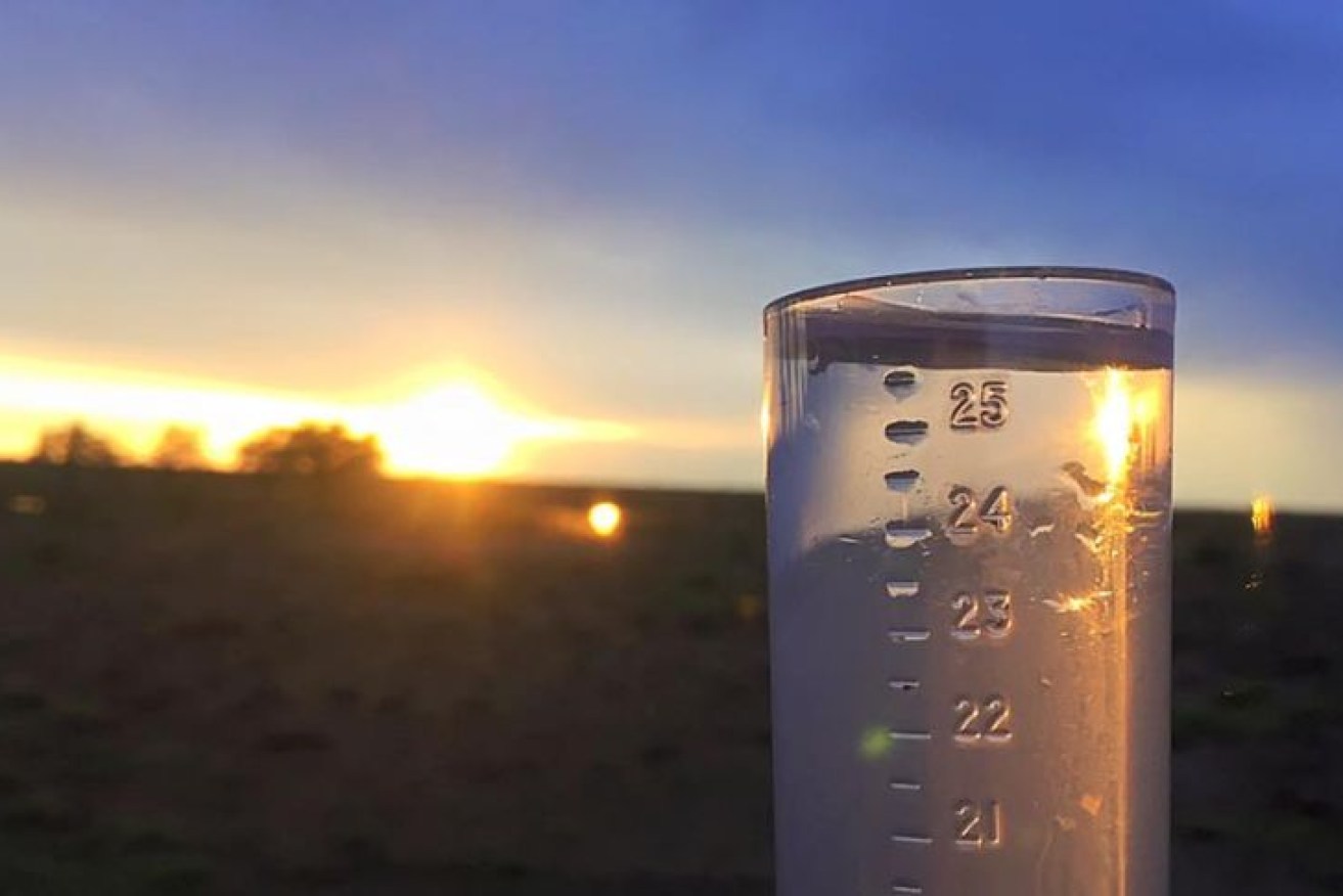 Cobwebs have been washed out of rain gauges across the drought-affected eastern states. 