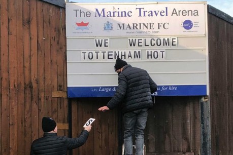 FA Cup dip into odd Marine life for Spurs