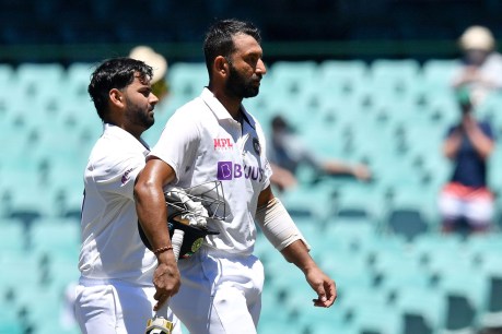 Third Test: Aggressive Pant gives India’s chase life