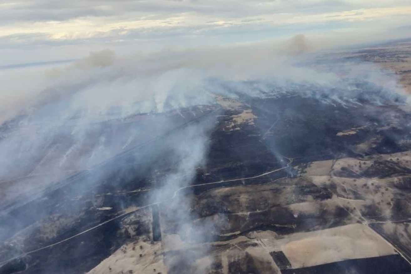 Burnt paddocks near Lucindale can be seen from the air.