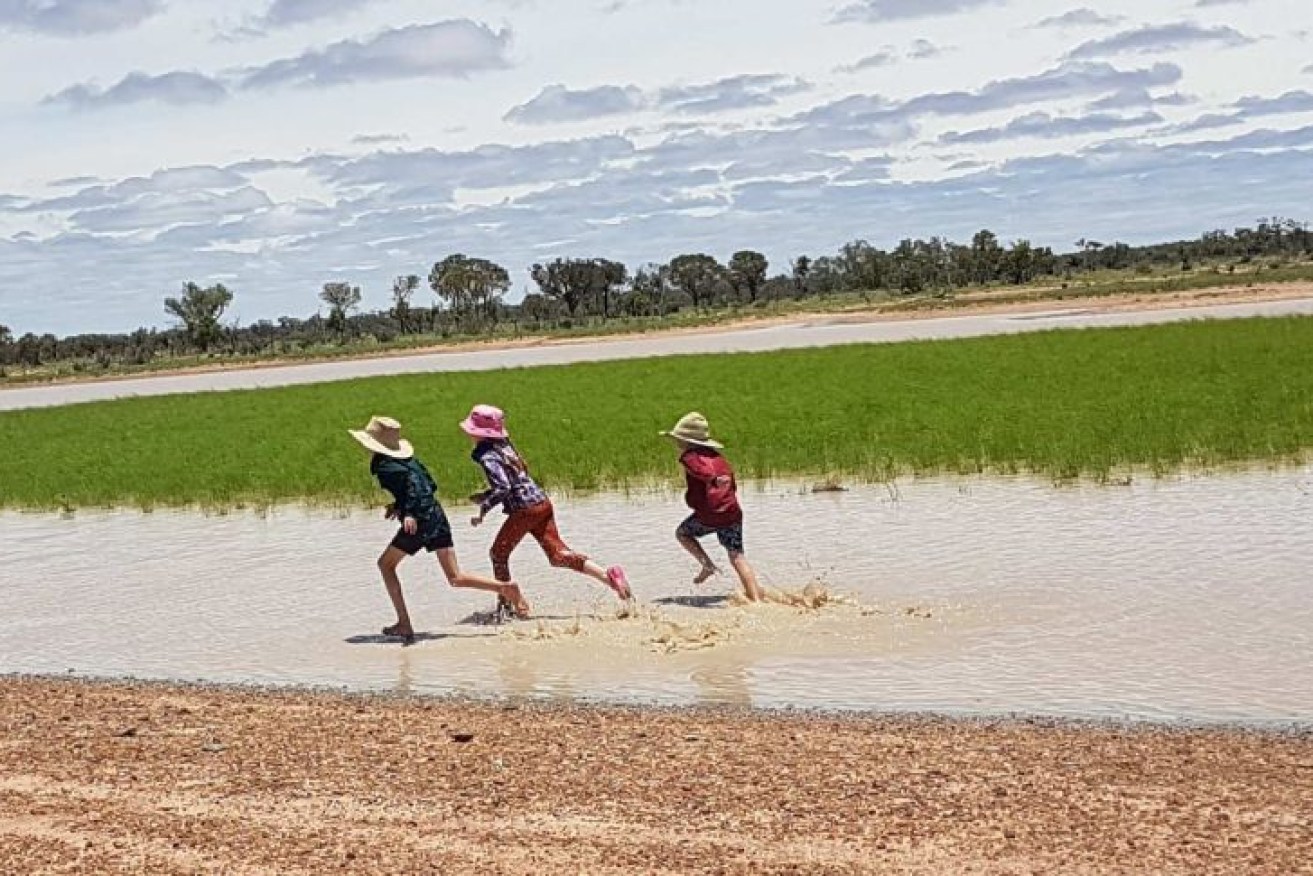 Fletcher, Lucy and Clancy are making the most of the excess water around Taree station.