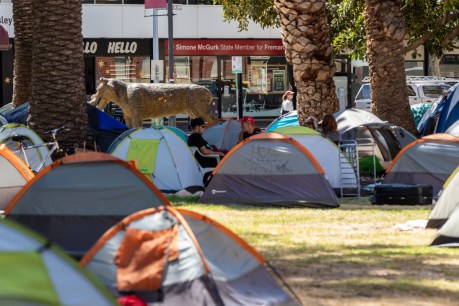 WA government takes over homeless camp