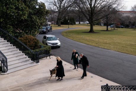 US President Joe Biden&#8217;s two dogs settle in at White House
