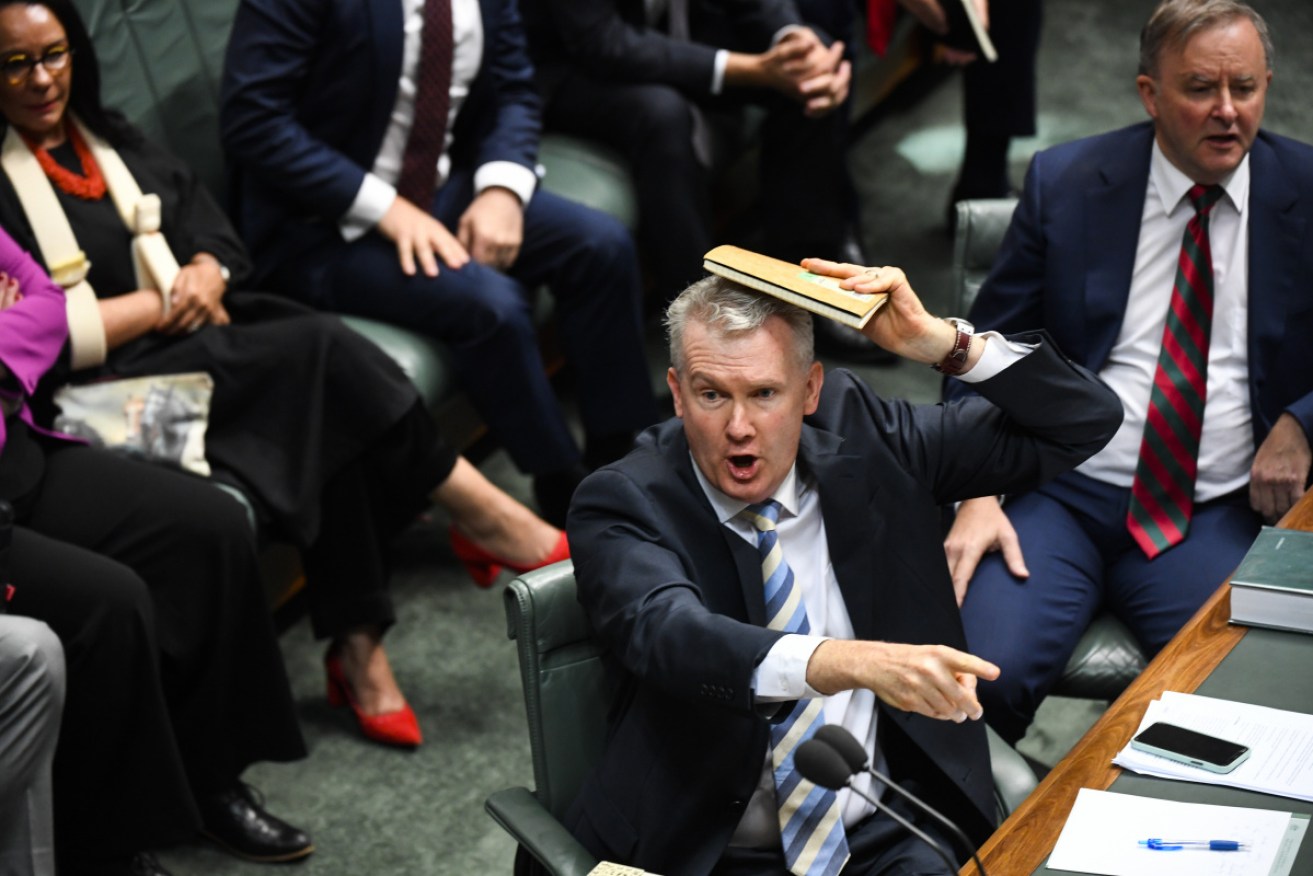 Tony Burke says the "norms" of Parliament are being trampled.