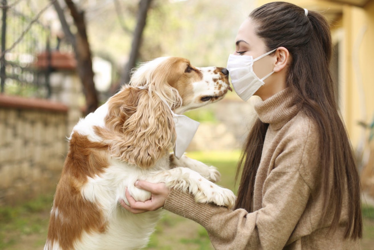 Vets are already seeing the impact of the pandemic on pets. 