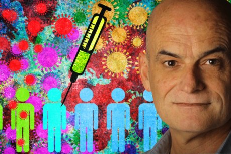 Garry Linnell: If anti-vaxxers are the village idiots, what does that make the rest of Australia?