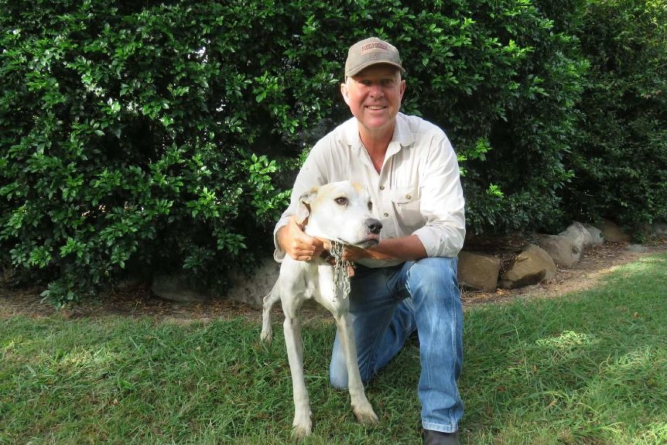 Robert Weber's dog Nessie was found on the same property her owner was initially discovered last week.