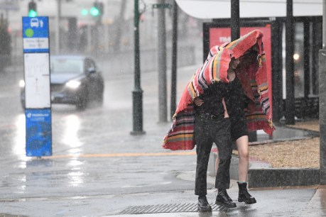 Brisbane hit by heavy downpour – with more rain on the way