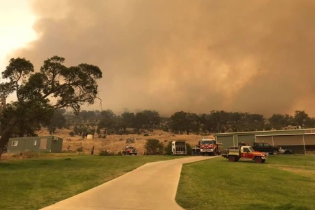 &#8216;Critical point&#8217;: Strong winds pose new danger in fight to contain Perth bushfire