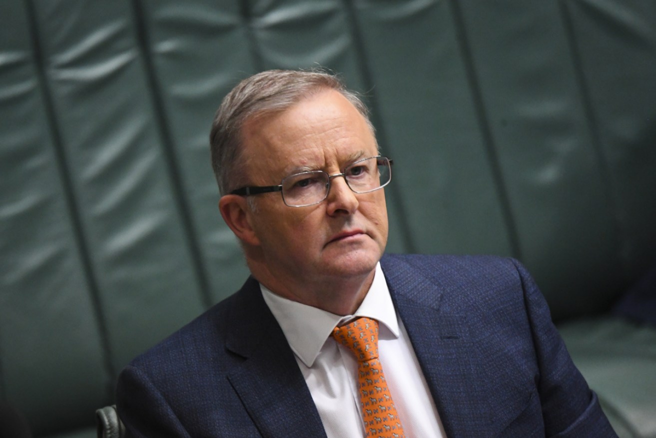 Anthony Albanese has urged Labor women to make formal complaints