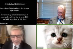 Lawyer goes viral after fluffy kitten Zoom error